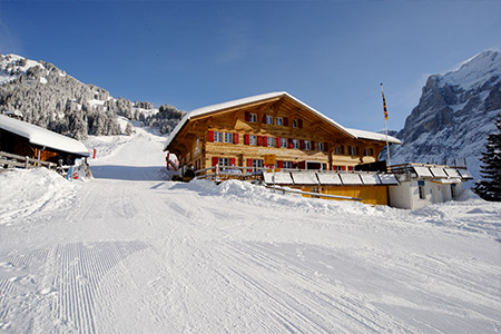 Alpinhotel Bort
- Grindelwald -