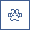 Animaux de compagnie